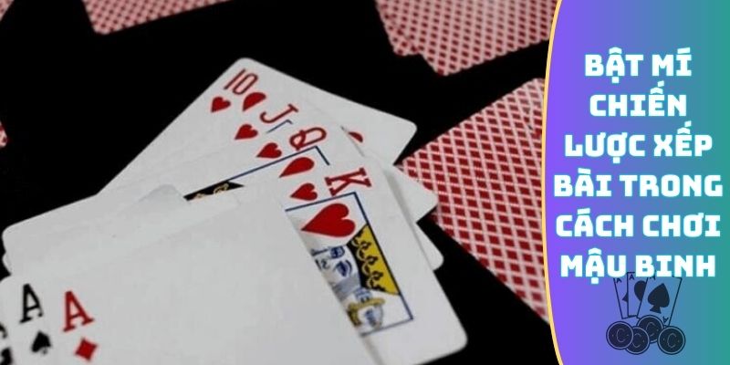 Bật mí chiến lược xếp bài trong cách chơi Mậu Binh