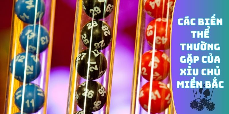 Các biến thể thường gặp của xỉu chủ miền Bắc