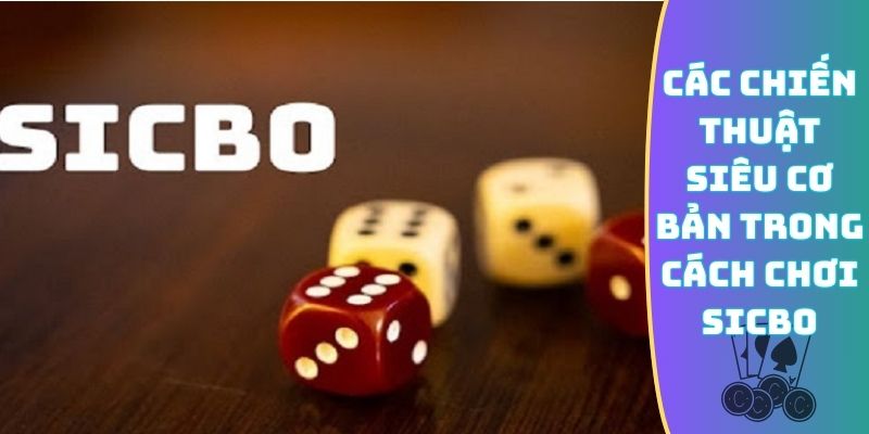 Các chiến thuật siêu cơ bản trong cách chơi Sicbo
