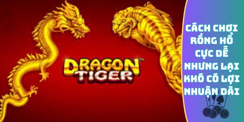 Cách chơi Rồng Hổ cực dễ nhưng lại khó có lợi nhuận dài