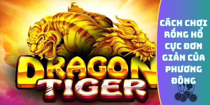 Cách chơi Rồng Hổ cực đơn giản của phương Đông