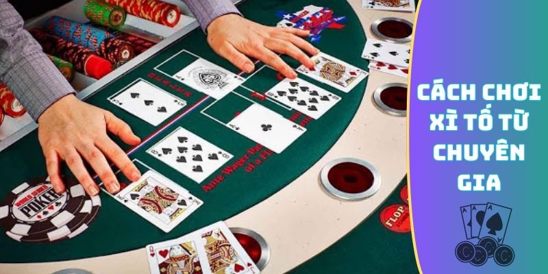 Cách chơi Xì Tố từ chuyên gia đọc vị bài