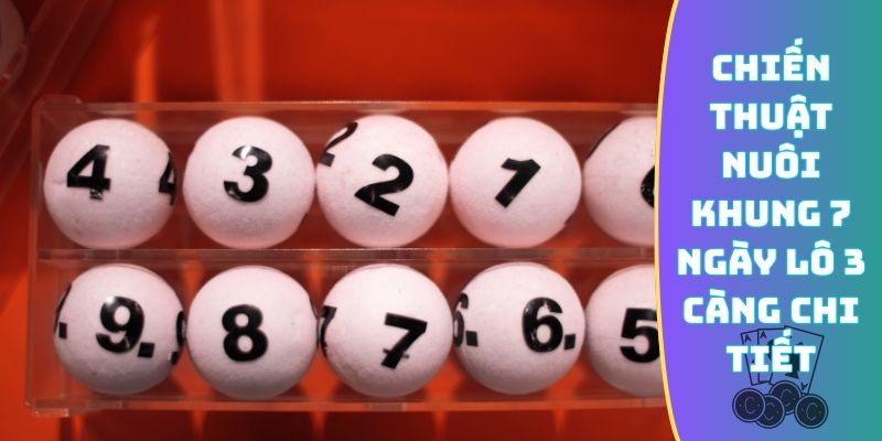 Chiến thuật nuôi khung 7 ngày lô 3 càng chi tiết