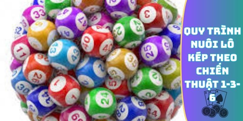 Quy trình nuôi lô kép theo chiến thuật 1-3-6