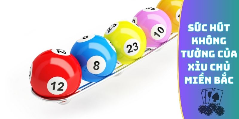 Sức hút không tưởng của xỉu chủ miền Bắc