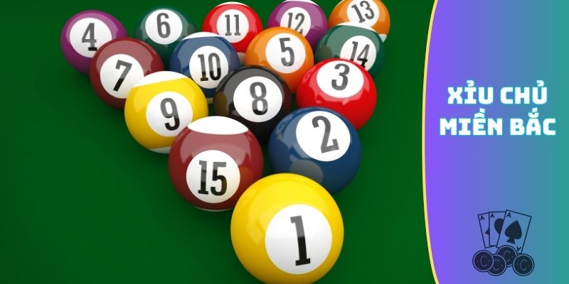 xỉu chủ miền Bắc